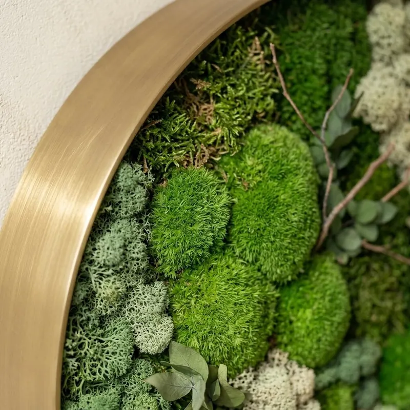 Yuvarlak Stabilize Yosun ve Bitki Tablosu 03 - Doku detayı